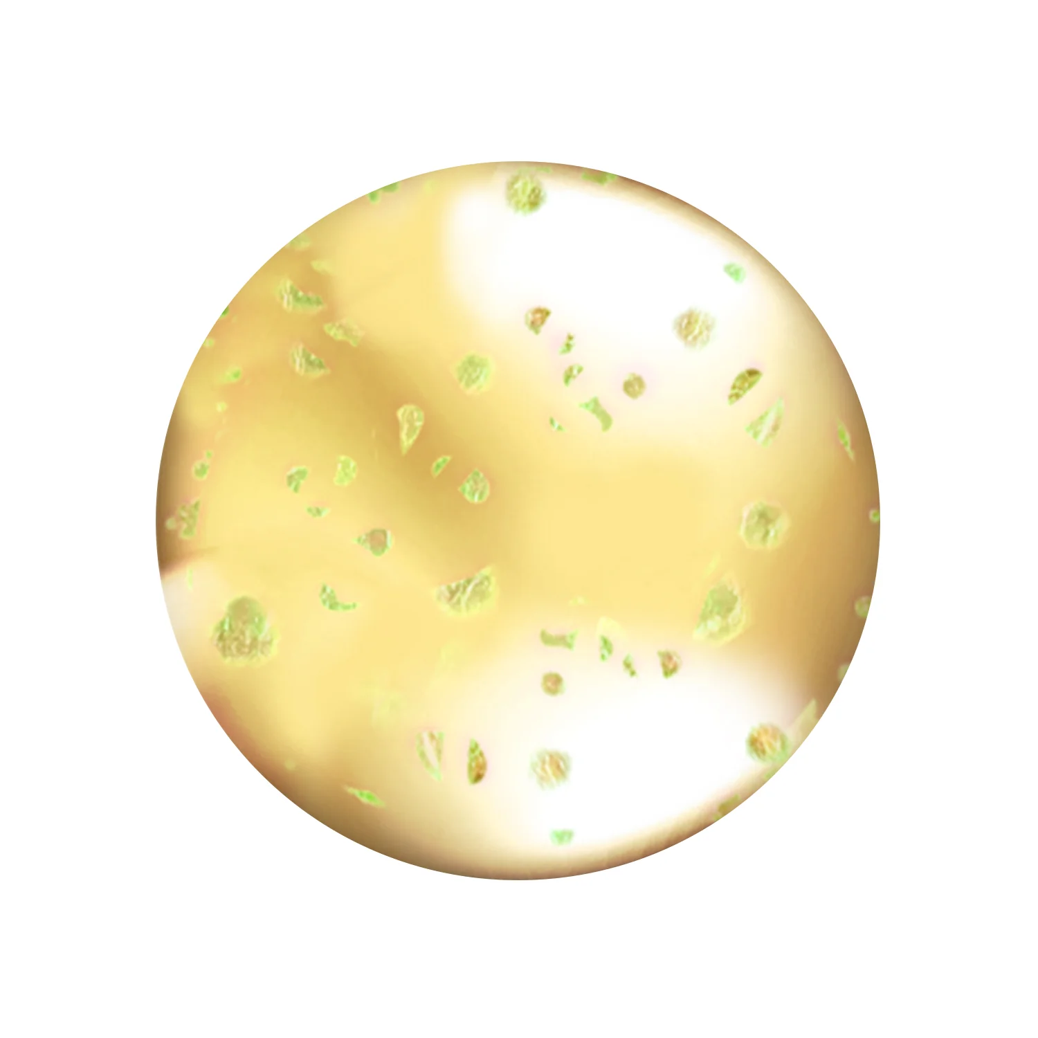 Lip Oil - Image 8